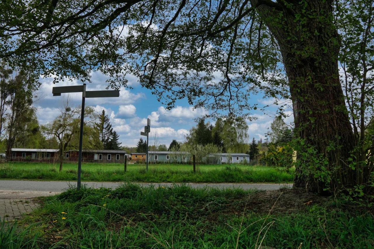 Geraumiges Familienfreundliches Ferienhaus 70 Qm I Strandnah I Terrasse I 2 Schlafzimmer I Nahe Werbellinsee Joachimsthal Zewnętrze zdjęcie